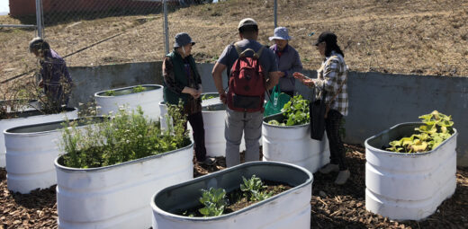 From Food Insecurity to Food Sovereignty: Reimagining local food systems in the Sunnydale community